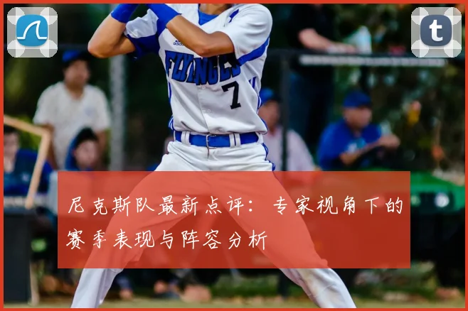 尼克斯队最新点评:专家视角下的赛季表现与阵容分析