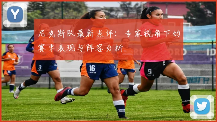 尼克斯队最新点评:专家视角下的赛季表现与阵容分析