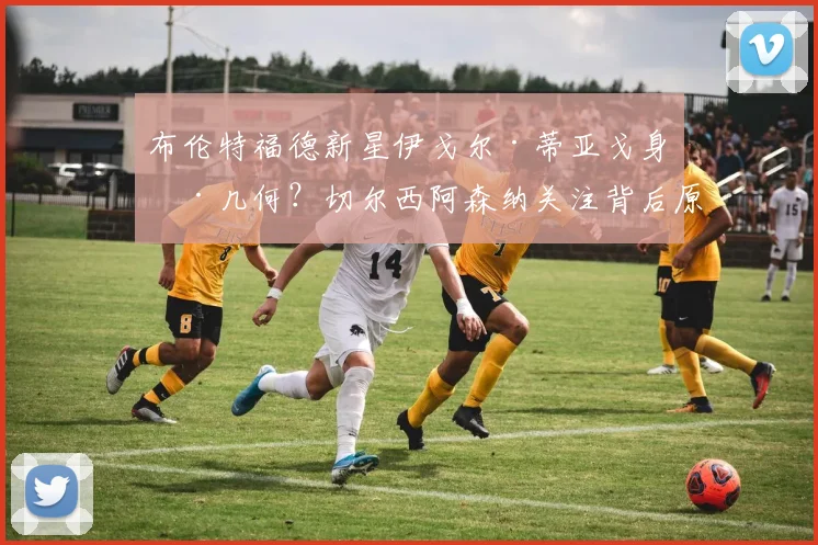 布伦特福德新星伊戈尔·蒂亚戈身价几何？切尔西阿森纳关注背后原因解析
